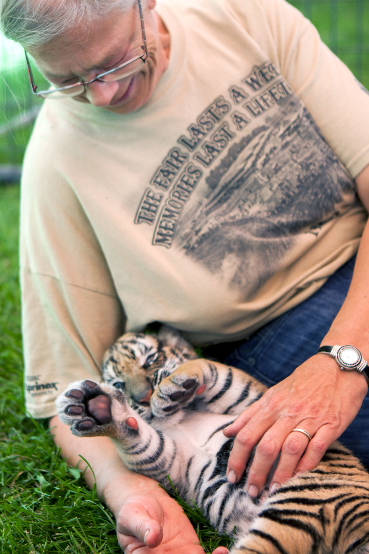 Tigers-at-the-fair-009